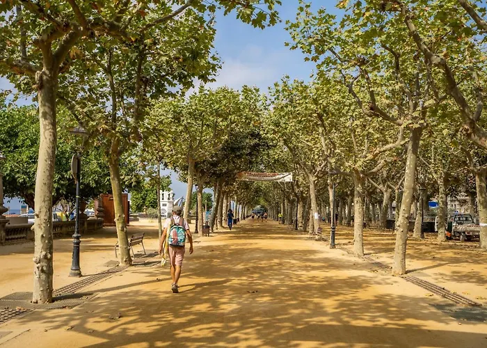 酒店 马尔布劳酒店 3*